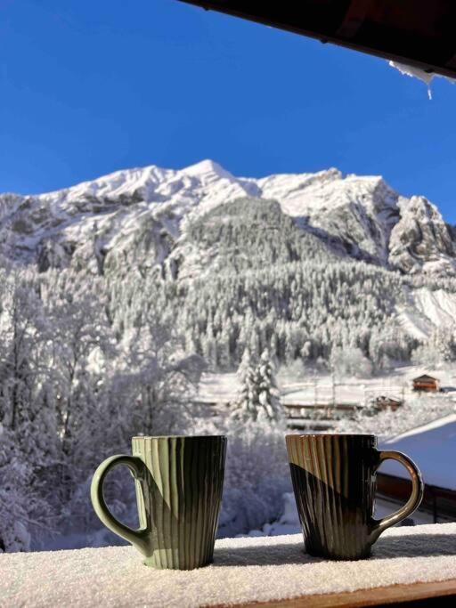 Peacefull Mountains View Διαμέρισμα Kandersteg Εξωτερικό φωτογραφία