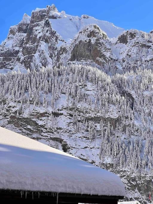 Peacefull Mountains View Διαμέρισμα Kandersteg Εξωτερικό φωτογραφία