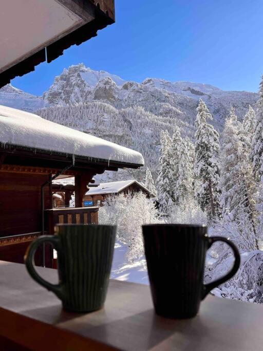 Peacefull Mountains View Διαμέρισμα Kandersteg Εξωτερικό φωτογραφία