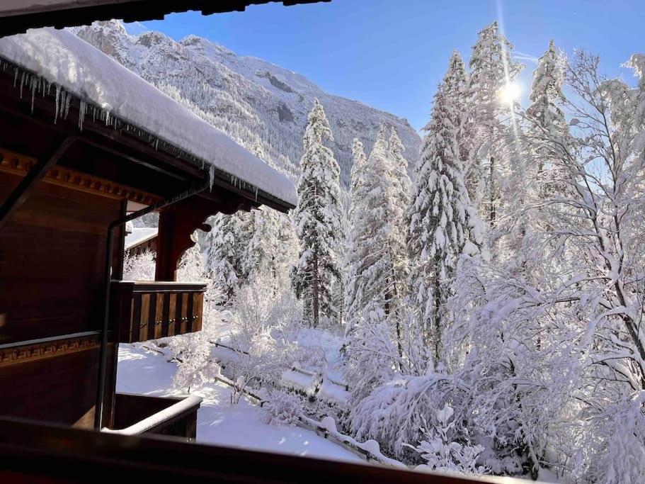 Peacefull Mountains View Διαμέρισμα Kandersteg Εξωτερικό φωτογραφία